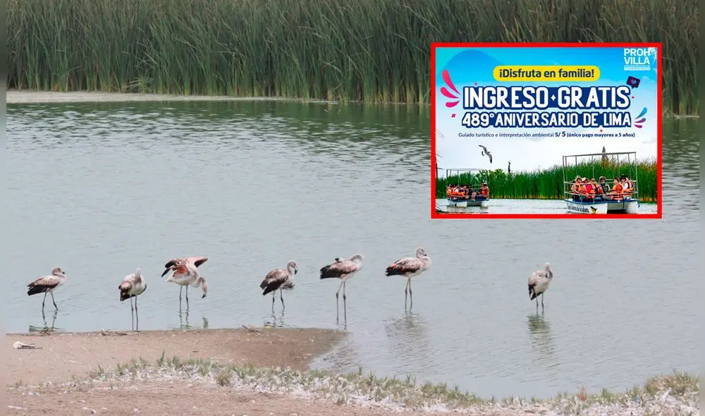 Pantanos de Villa se ubican en Lima sur. Foto: composición La República/MML