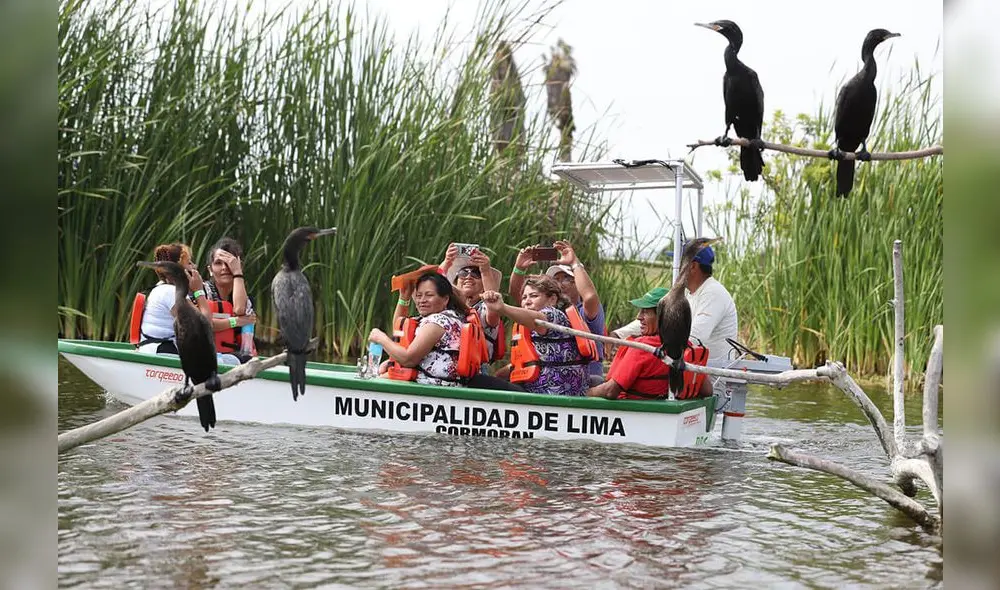 En los Pantanos de Villa, podrás hacer un recorrido inolvidable acompañado de amigos o familia. Foto: página web de Pantanos de Villa En los Pantanos de Villa, podrás hacer un recorrido inolvidable acompañado de amigos o familia. Foto: página web de Pantanos de Villa