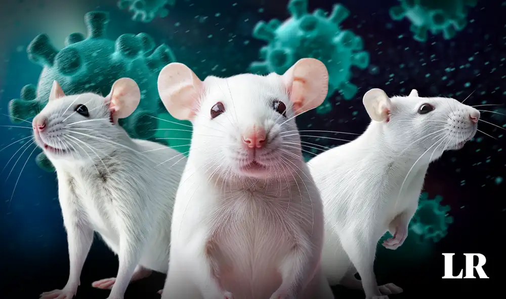 El estudio y los resultados de la investigación fueron publicados en los servidores de bioRxiv. Foto: composición de Jazmin Ceras/LR/Feepik. Video: El Universal El estudio y los resultados de la investigación fueron publicados en los servidores de bioRxiv. Foto: composición de Jazmin Ceras/LR/Feepik. Video: El Universal