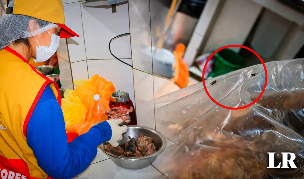 Restaurante Campestre Rancho Grande de Comas fue clausurado por roedores y cucarachas. Foto: composición Gerson Cardoso/LR