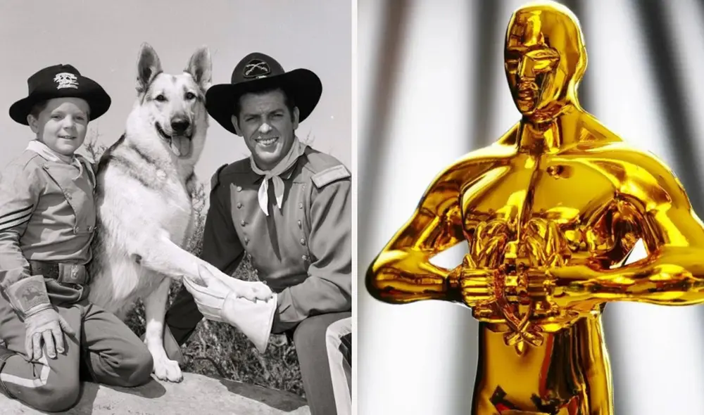 Rin Tin Tin tiene su huella estampada en el paseo de la fama en Hollywood. Foto: composición LR/La nación/Marca