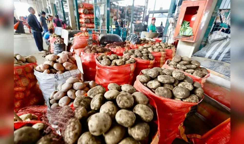 El abastecimiento de alimentos a los mercados mayoristas superó las 8.000 toneladas esta semana en Lima. Foto: Midagri