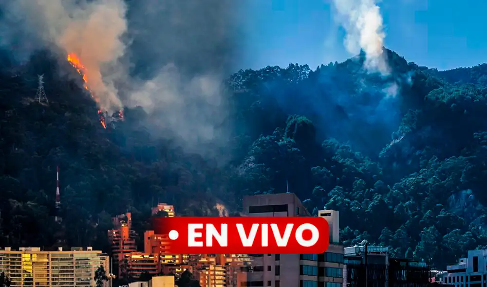 Tras los recientes incendios en Santander, Bogotá enfrenta una situación de emergencia que está siendo abordada por el cuerpo de bomberos local. Foto: composición LR/difusión/EE/Semana