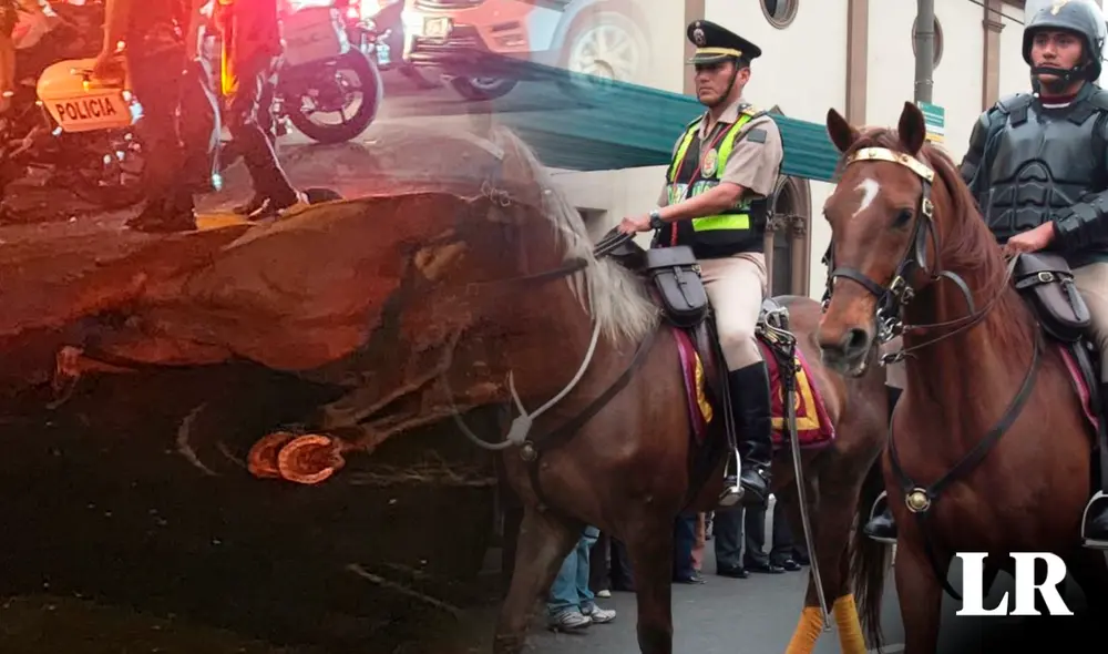 Defensores de los animales afirman que caballos pueden ser reemplazados por drones para lograr ventajas en la visibilidad. Foto: composición de Fabrizio Oviedo/Rosario Rojas/La República/Andina