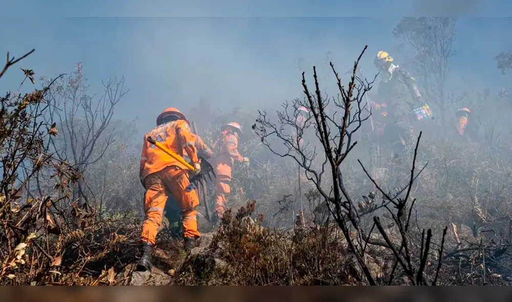 Con apoyo de la Fuerza Aérea y dos helicópteros de la Policía, Colombia está tratando de controlar los incendios forestales. Foto: composición LR/ El Tiempo