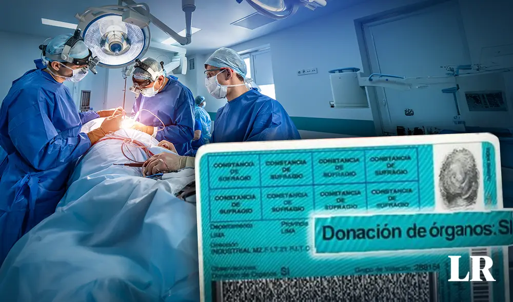 Nueva ley fue aprobada en mayo del 2023, y se espera que entre en vigencia este año. Foto: Composición de Jazmín Ceras/La República/Andina