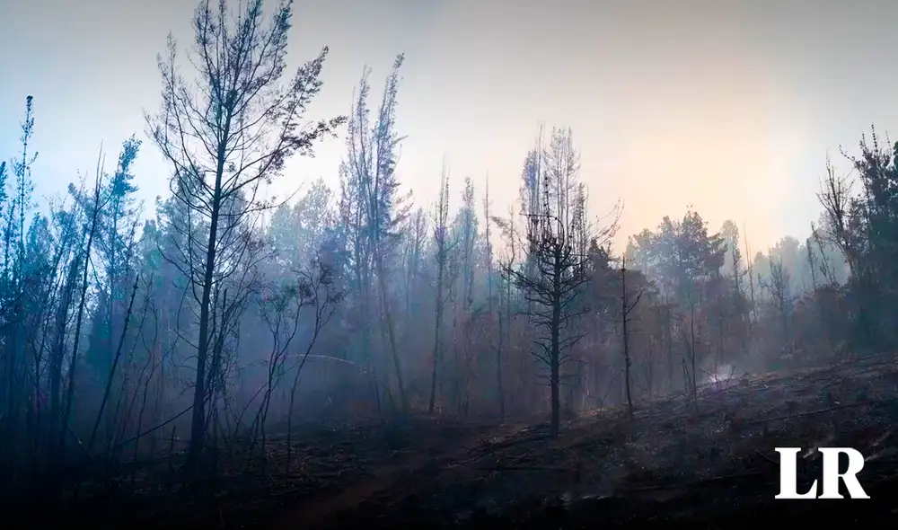 Bogotá es una de las zonas más afectadas por los incendios forestales. Foto: Composición LR/El País