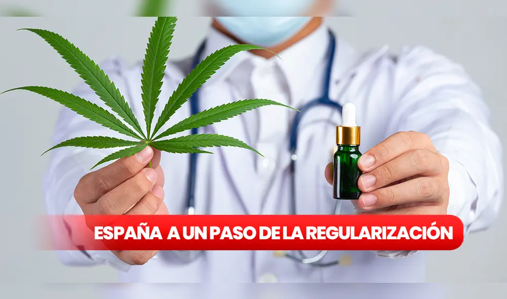 España regularizará el consumo legal de cannabis medicinal en los próximos meses. Foto: composición LR/Freepik