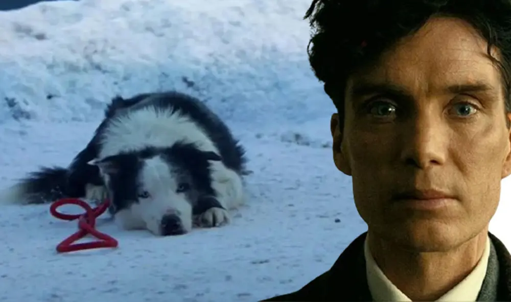 Anatomía de una caída tiene una duración de 2 horas con 32 minutos . Foto: composición LR/Paloma y Nacho/El país Anatomía de una caída tiene una duración de 2 horas con 32 minutos . Foto: composición LR/Paloma y Nacho/El país