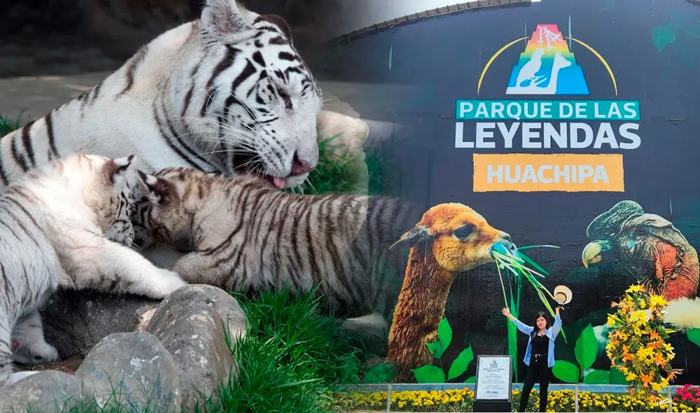 El Parque de las Leyendas funciona todos los días hasta las 5.00 p. m. Foto: composición LR/RPP