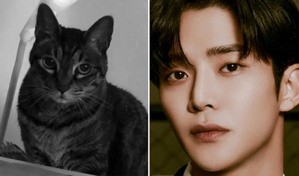 El galán de 'Un amor predestinado', Ro Woon, tenía 10 años cuando conoció a su gato. Foto: composición LR/Instagram/tvN