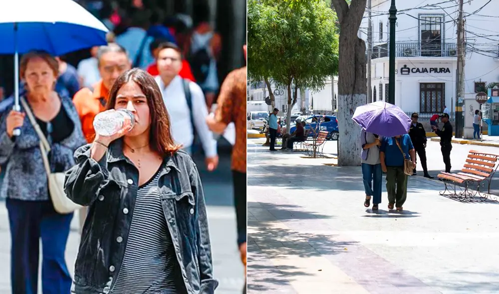Altas temperaturas se registran este 2024. Foto: Andina/INS - Video: Senamhi