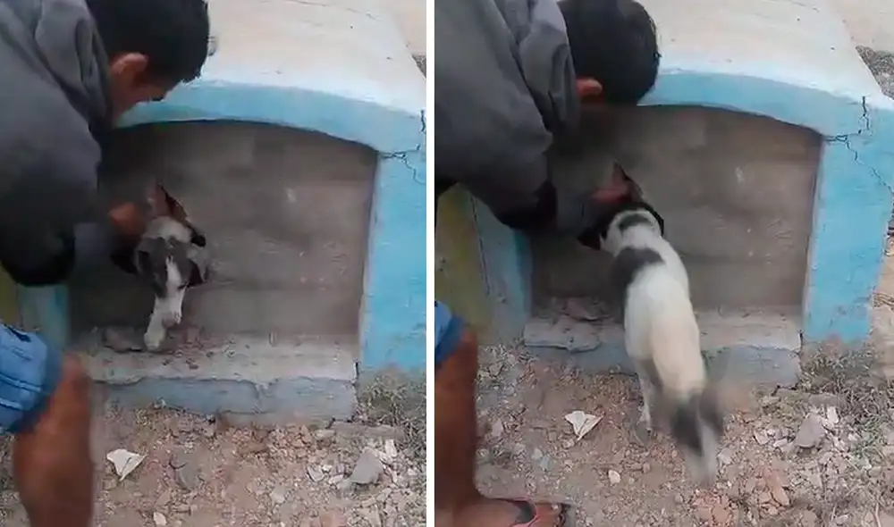 Hecho se registró el martes 30 de enero. Foto: captura LR/difusión