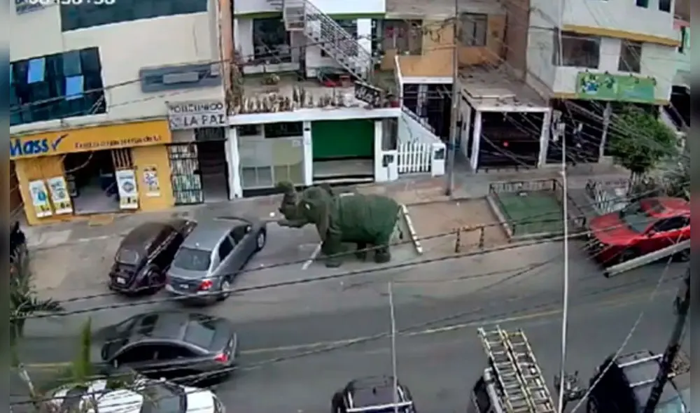 Aún se desconoce el motivo de la persecución policial. Foto: Canal N