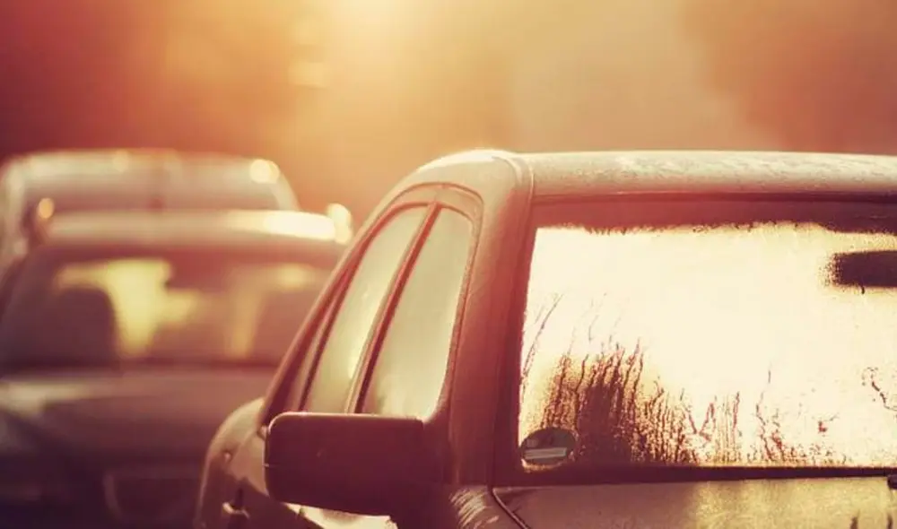 El impacto del calor no solo puede afectar a las personas y animales. Foto: Rodi Motor Services El impacto del calor no solo puede afectar a las personas y animales. Foto: Rodi Motor Services