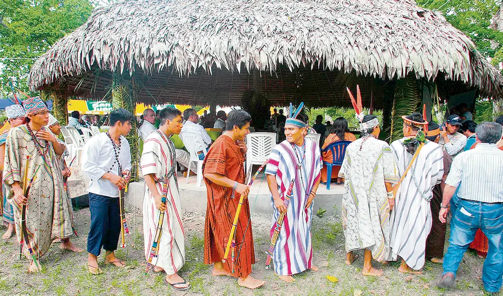 Logro. Los pueblos originarios amazónicos y andinos tuvieron que acudir al Poder Judicial para que el Legislativo honre el artículo 6 del Convenio 169 de la OIT, vigente en Perú desde 1995. Foto: difusión