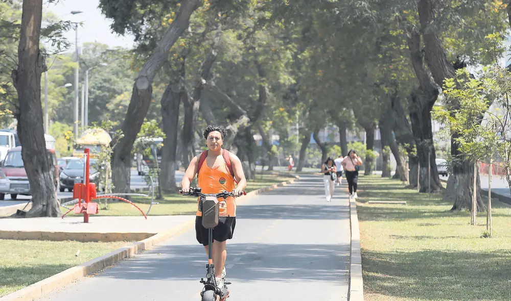 Verde. La avenida Salaverry tiene una buena dotación de árboles en su berma central.  Foto: difusión