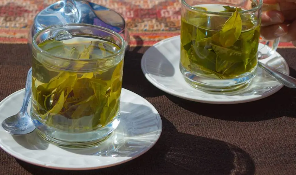 El mate de coca se suele consumir en la sierra del Perú para combatir el soroche. Foto: Taste Atlas