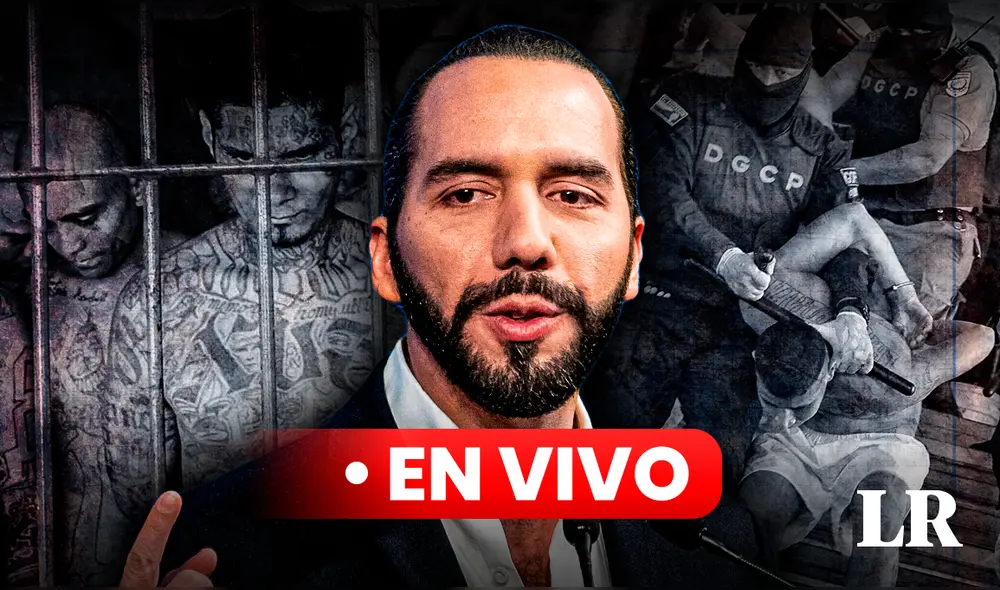 Las elecciones de El Salvador se llevan a cabo hoy, 4 de febrero de 2024, en las que votarán por presidente, vicepresidente y 60 integrantes de la Asamblea Legislativa, un suceso que no ocurría desde el 2009. Foto: composición LR/AFoto: composición LR/AFP Las elecciones de El Salvador se llevan a cabo hoy, 4 de febrero de 2024, en las que votarán por presidente, vicepresidente y 60 integrantes de la Asamblea Legislativa, un suceso que no ocurría desde el 2009. Foto: composición LR/AFoto: composición LR/AFP