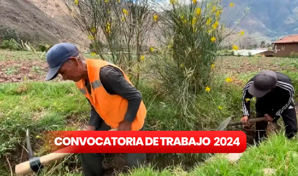 Estas ofertas laborales del Ministerio de Desarrollo Agrario y Riego están disponible exclusivamente en la ciudad de Lima. Foto: composiciónLR/Andina Estas ofertas laborales del Ministerio de Desarrollo Agrario y Riego están disponible exclusivamente en la ciudad de Lima. Foto: composiciónLR/Andina