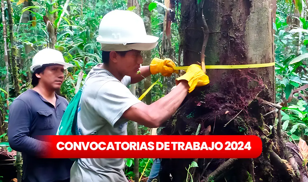 Vacantes estarán disponibles hasta el 9 de febrero. Foto: composición de Jazmin Ceras / La República / Andina Vacantes estarán disponibles hasta el 9 de febrero. Foto: composición de Jazmin Ceras / La República / Andina