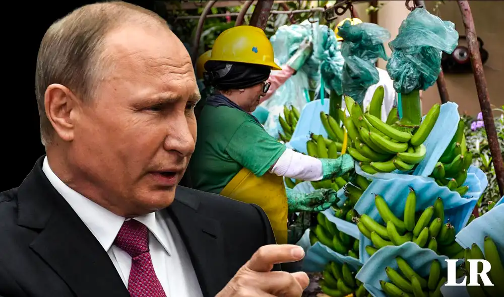 Ecuador también exporta en promedio USD 120 millones en flores a Ucrania, Bielorrusia y, en especial, a Rusia. Foto: composición de Fabrizio Oviedo/LR/AFP. Video: AFP