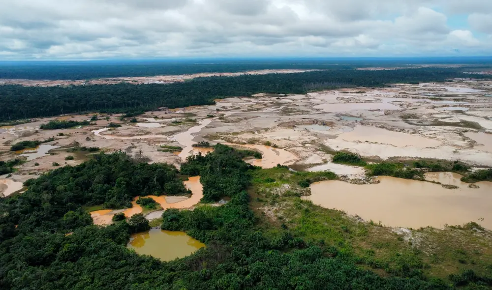 La selva peruana es la más afectada por tala y minería ilegal, así como por la deforestación. Foto: Antonio Melgarejo/La República La selva peruana es la más afectada por tala y minería ilegal, así como por la deforestación. Foto: Antonio Melgarejo/La República