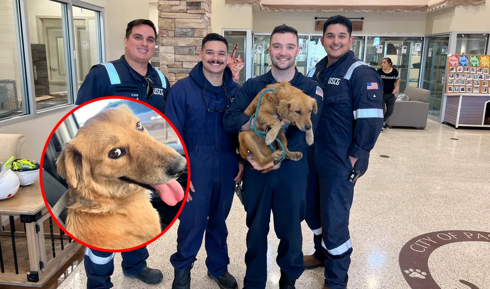 La historia de Connie ha sorprendido a distintos usuarios alrededor del mundo, luego de ser encontrada atrapada en un contenedor de Texas, Estados Unidos. Foto: composición LR/U.S. Coast Guard Heartland/Facebook