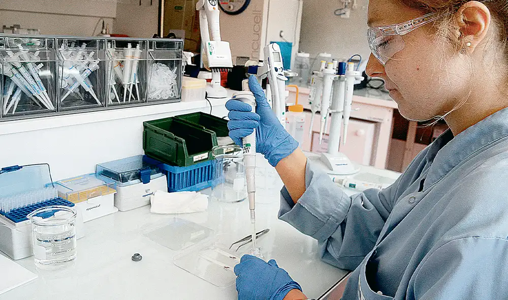 Pesquisas. En Canadá y Europa se sigue buscando nuevas terapias contra las alergias. Foto: AFP Pesquisas. En Canadá y Europa se sigue buscando nuevas terapias contra las alergias. Foto: AFP