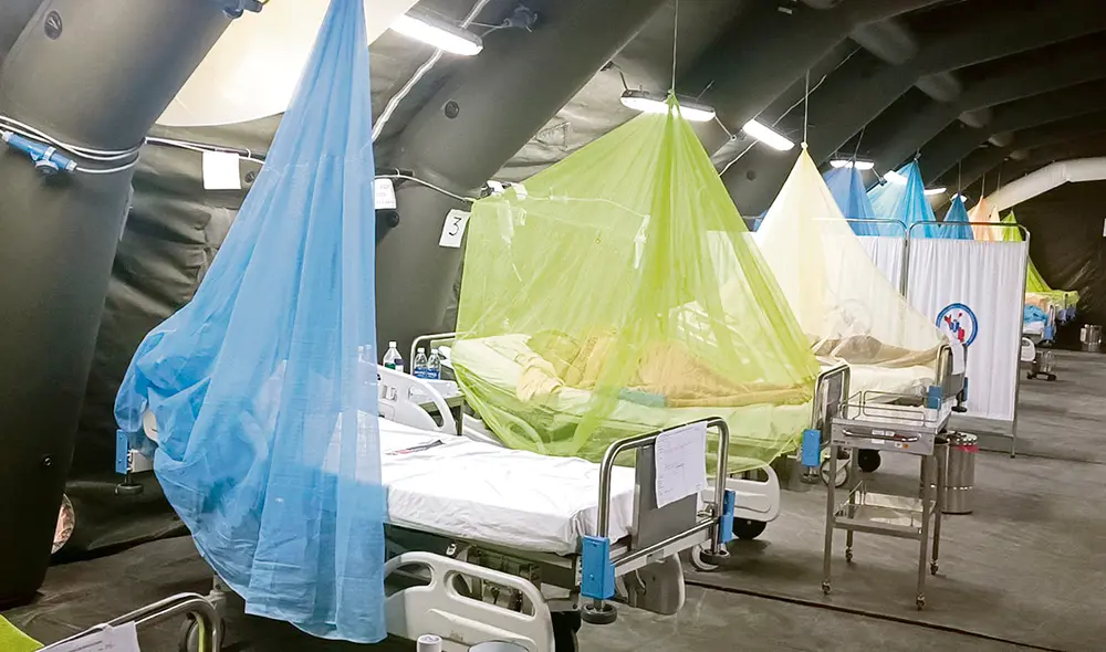 Emergencia. Las muertes por dengue se elevaron extraoficialmente a 11 y los casos a 13.010. El Minsa sigue esperando y el sistema puede colapsar. Foto: difusión