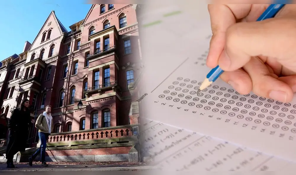 Harvard University tiene una de las tasas de aceptación más bajas en Estados Unidos, siendo alrededor del 4-5% en los últimos años. Foto: composición LR/Harvard University