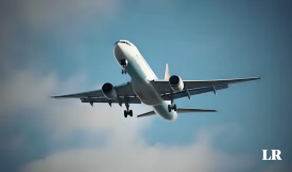 El protagonista de este hecho viajaba con su esposa y comenzó a presentar varios síntomas antes de morir. Foto: Freepick/ref. - Video: USA Today