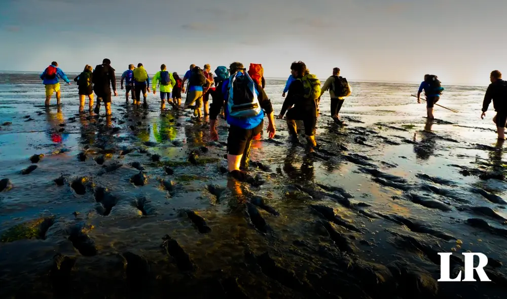 Este fenómeno es posible gracias a la combinación única de factores geográficos y meteorológicos. Foto: Wadlopen