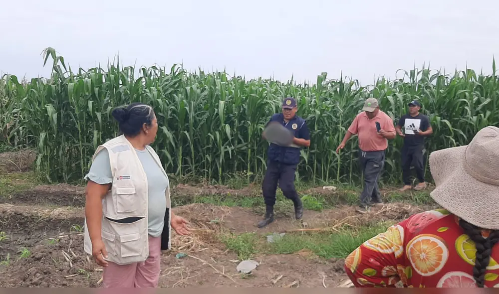 Descubrieron al infante con una lesión en la cabeza y cubierto con una camiseta. Foto: difusión