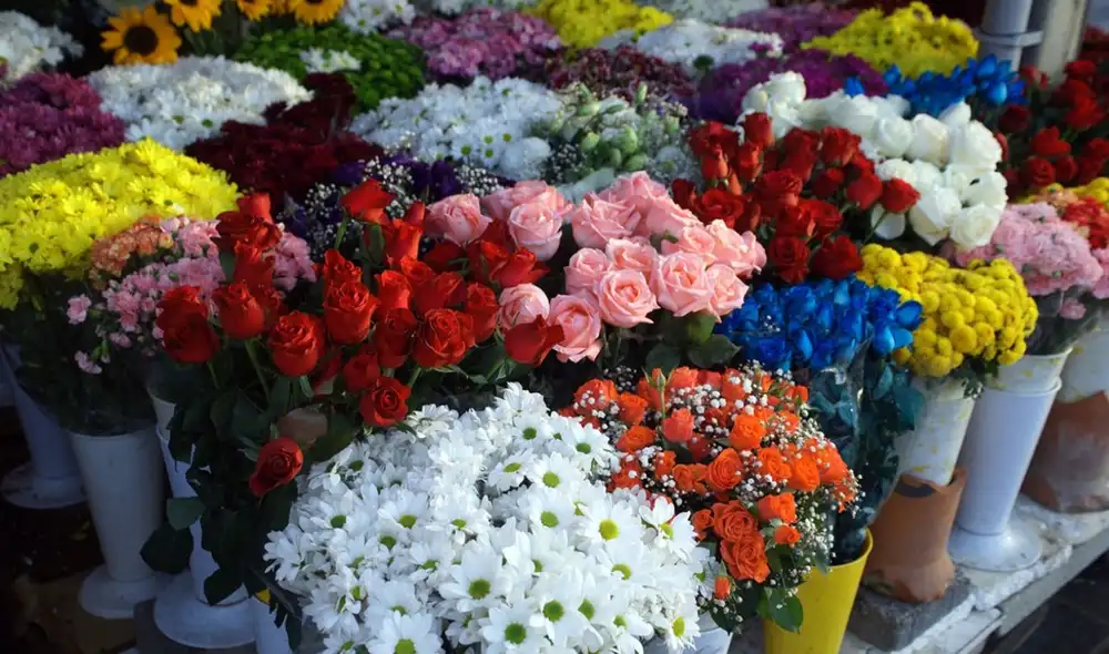 Regalar flores es una práctica infaltable en esta época del año. Foto: Hogarmanía