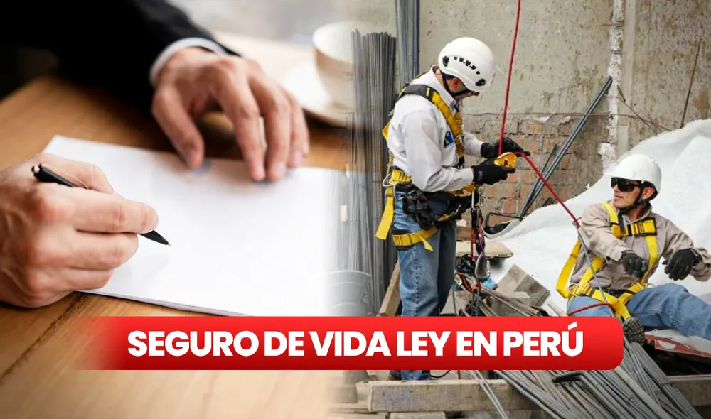 El Seguro de Vida Ley ofrece un respaldo económico en caso del fallecimiento del titular por muerte natural o accidental,o si se ve afectado por invalidez permanente. Foto: composición de Jazmin Ceras/LR/Andina El Seguro de Vida Ley ofrece un respaldo económico en caso del fallecimiento del titular por muerte natural o accidental,o si se ve afectado por invalidez permanente. Foto: composición de Jazmin Ceras/LR/Andina