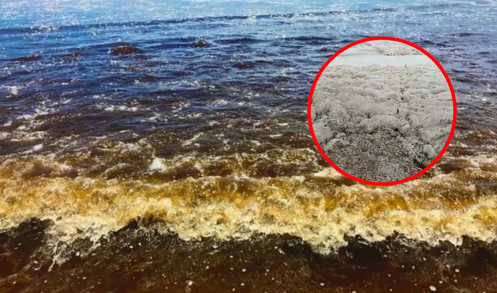 Imarpe indicó que esta floración algal podría afectar la vida marítima. Foto: composición LR/Imarpe/foto referencial