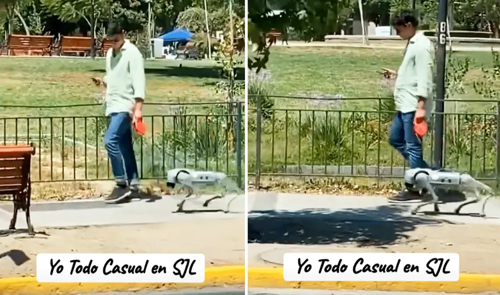 Muy tranquilo camina el peruano con su perro robot a su lado por un parque de SJL. Foto: composición LR/TikTok/@yujiro.valentino Muy tranquilo camina el peruano con su perro robot a su lado por un parque de SJL. Foto: composición LR/TikTok/@yujiro.valentino