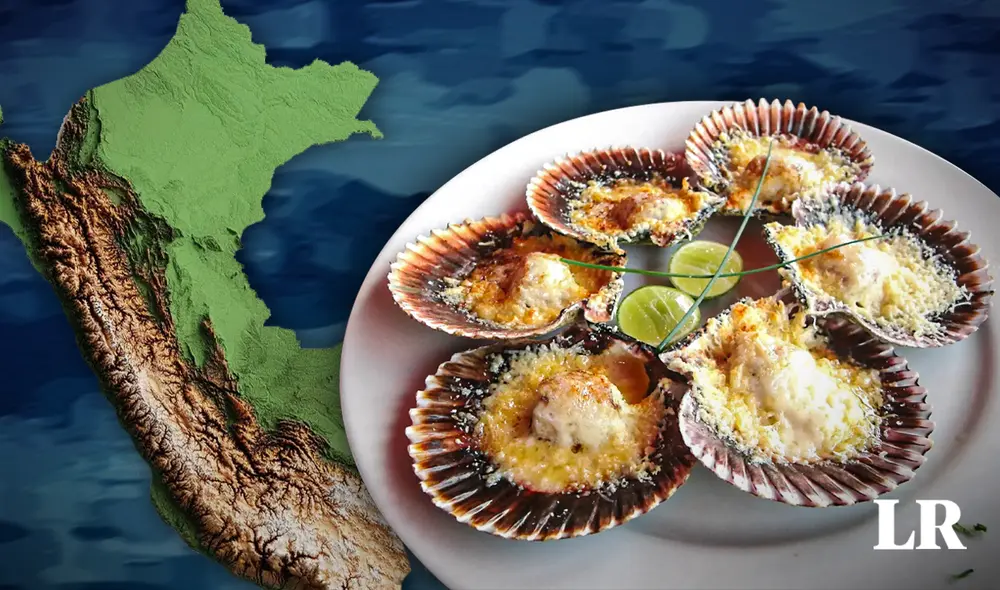 Las conchitas a la parmesana son sencillas de preparar, ya que no requiere de muchos ingredientes, los cuales son fáciles de conseguir. Foto: composición LR - Jazmín Ceras