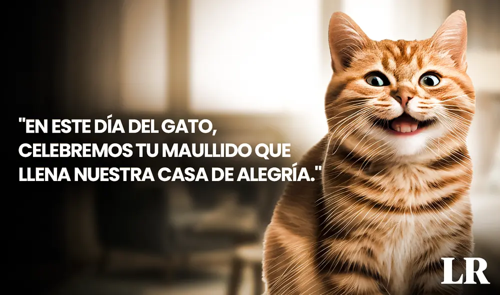 Estos animalitos requieren un cuidado responsable. Foto: composición de Fabrizio Oviedo/La República