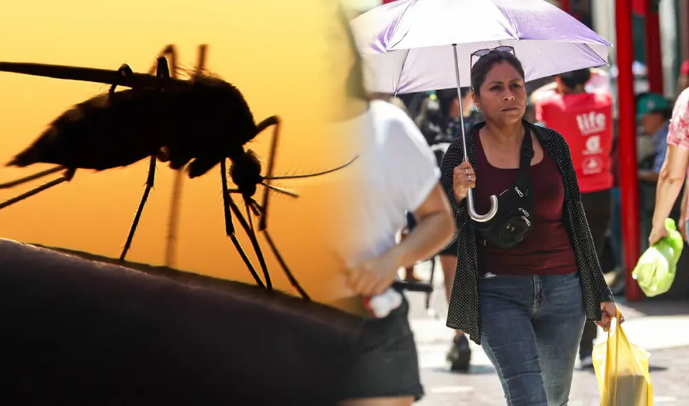 Un total de 817 casos se han registrado en Lima. Foto: composición LR/Andina