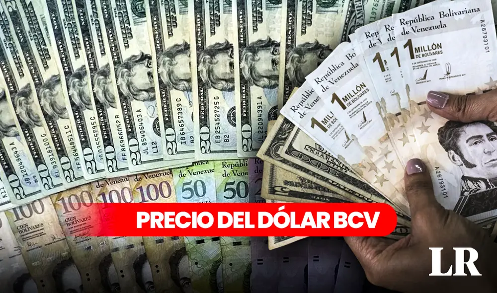 Precio del dólar BCV hoy, sábado 24 de febrero, en Venezuela. Foto: composición LR/Frabrizio Oviedo Precio del dólar BCV hoy, sábado 24 de febrero, en Venezuela. Foto: composición LR/Frabrizio Oviedo