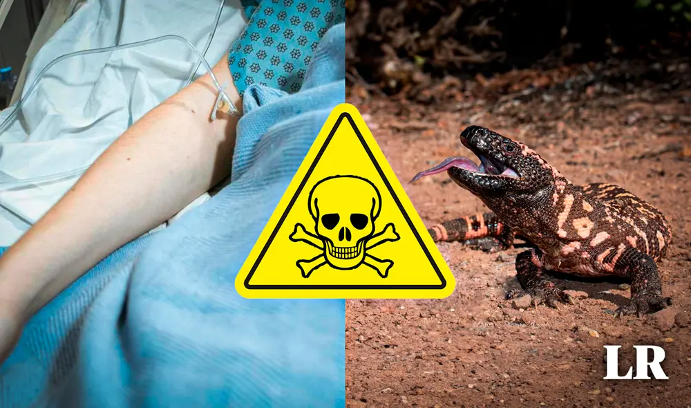 Luego de ser mordido por sus mascotas pasó a ser hospitalizado y posteriormente falleció producto de muerte cerebral. Foto: Composición LR Gerson Cardoso/Noticias Caracol/PNG Wing/iNaturalist Ecuador