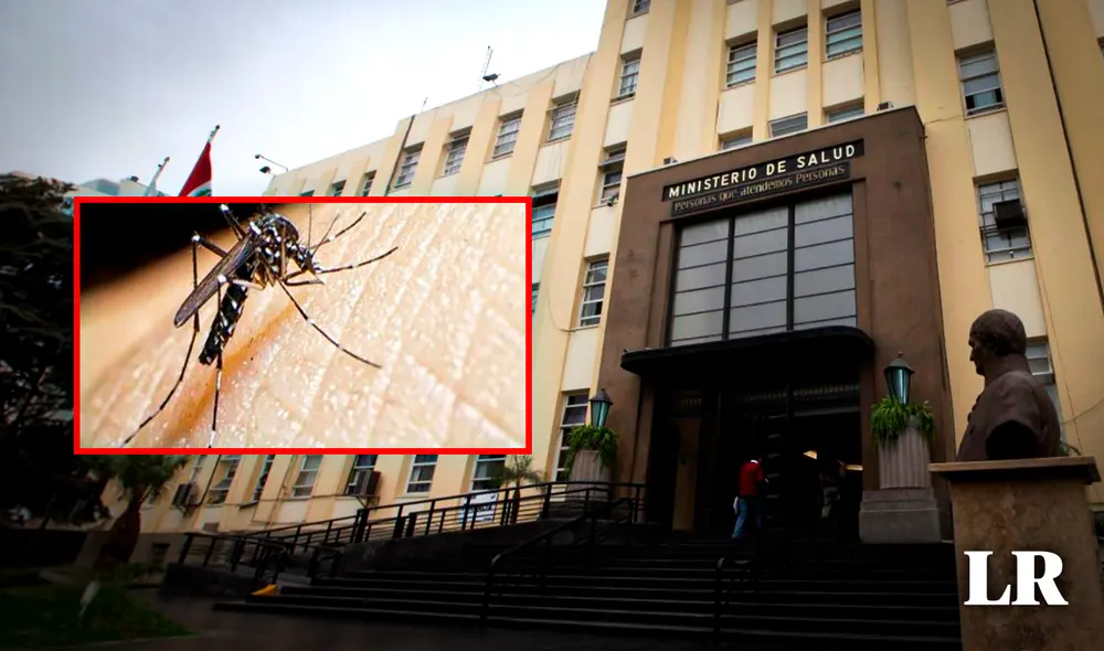 El dengue es una enfermedad que puede llevar a la muerte en casos extremos. Foto: composición de Gerson Cardoso/La República
