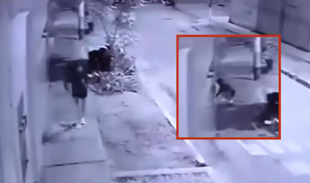 Mujer huyendo luego de colocar un explosivo en la puerta de un colegio en Trujillo. Foto: composición LR/captura video Ribereña