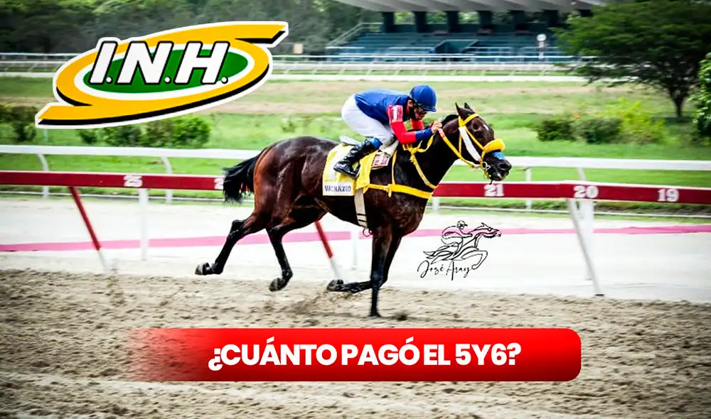 Anota cuánto pagó el 5y6 de La Rinconada y revisa el dividendo por tu apuesta. Foto: composición LR/INH Anota cuánto pagó el 5y6 de La Rinconada y revisa el dividendo por tu apuesta. Foto: composición LR/INH