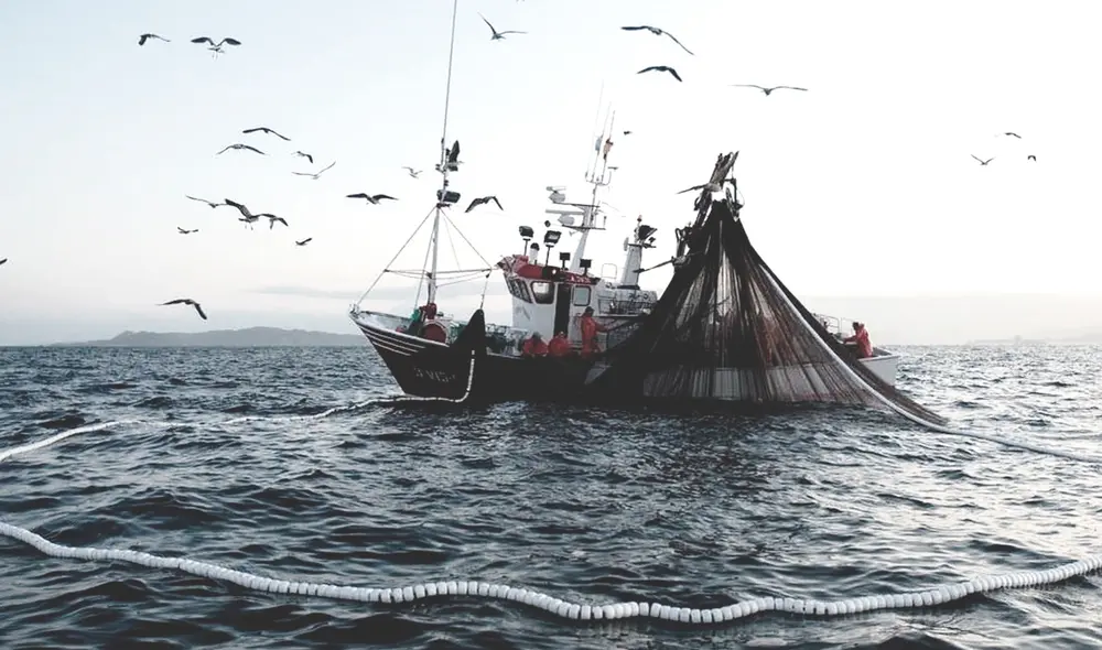 Pesca industrial. Foto: pescare.com