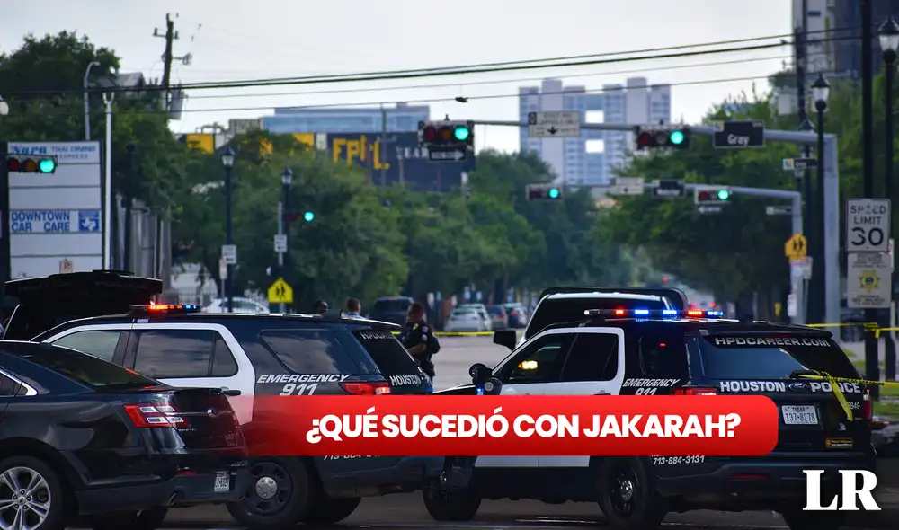 El caso de Jakarah, la adolescente que fue baleada y arrojada en un bosque. Foto: composición LR/Pixibay
