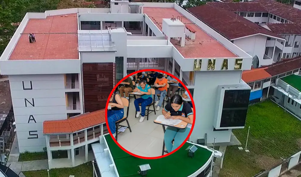 La UNAS solo tiene una sede, ubicada en la ciudad de Tingo María. Foto: composición LR/UNAS La UNAS solo tiene una sede, ubicada en la ciudad de Tingo María. Foto: composición LR/UNAS