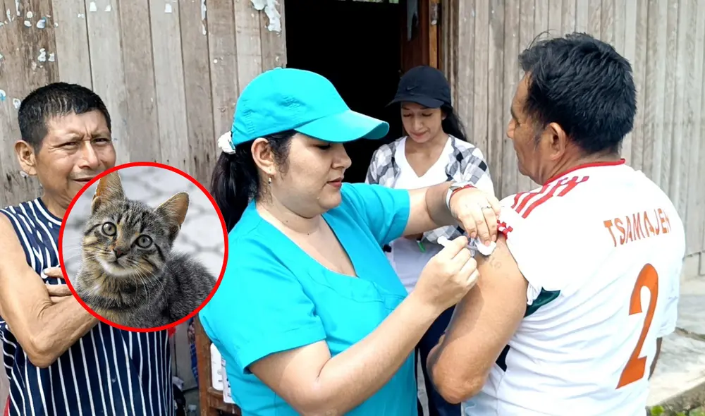 Red de Salud Condorcanqui confirmó los decesos por rabia. Foto: composición LR/Red de Salud Condorcanqui/Facebook